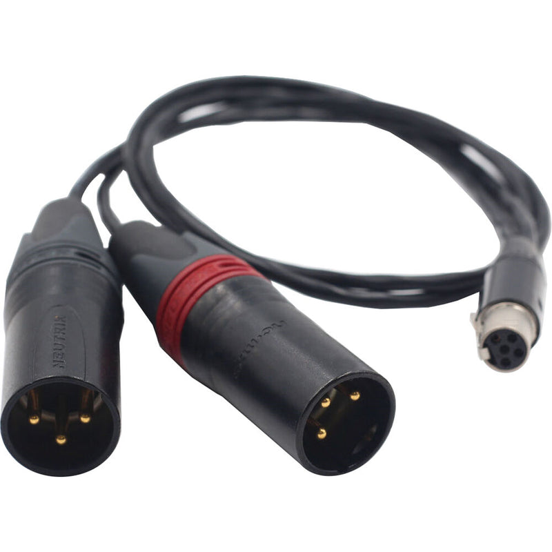 DigitalFoto Solution Limited Dual XLR Male to TA5M Mini XLR Female Audio Cable for Zaxcom QRX200 (1.6')