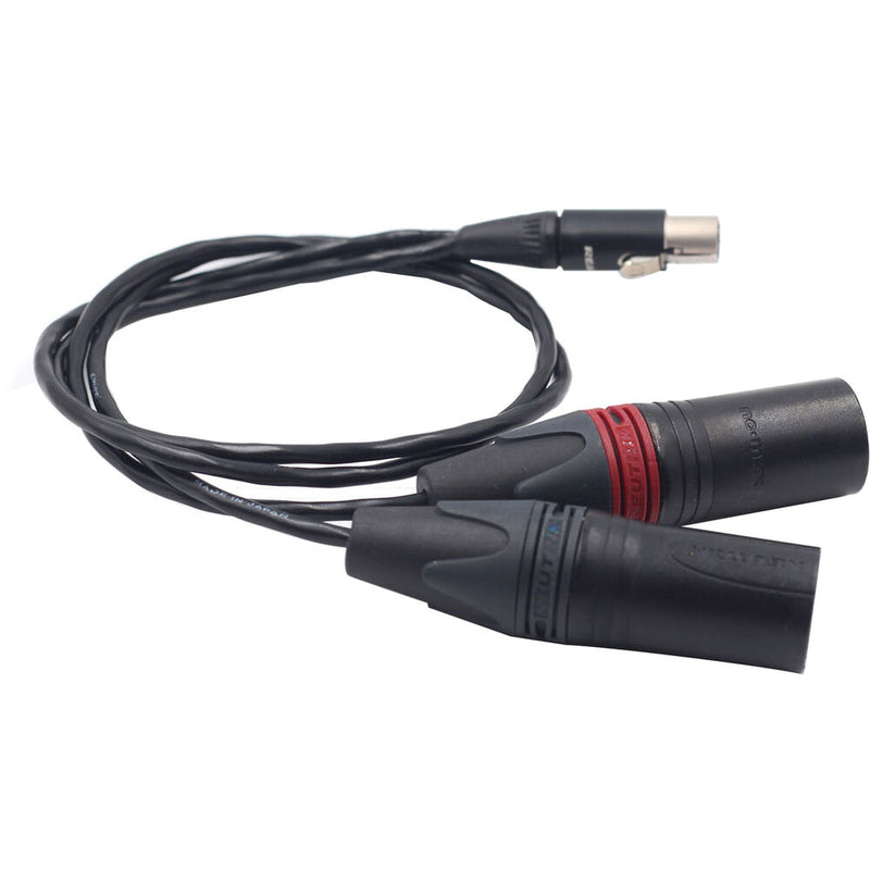 DigitalFoto Solution Limited Dual XLR Male to TA5M Mini XLR Female Audio Cable for Zaxcom QRX200 (1.6')