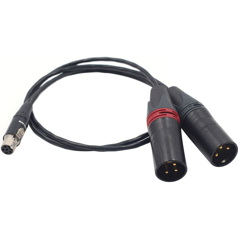 DigitalFoto Solution Limited Dual XLR Male to TA5M Mini XLR Female Audio Cable for Zaxcom QRX200 (1.6')