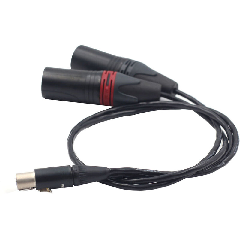 DigitalFoto Solution Limited Dual XLR Male to TA5M Mini XLR Female Audio Cable for Zaxcom QRX200 (1.6')