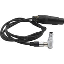 DigitalFoto Solution Limited 5-Pin LEMO to 3-Pin XLR Mono Audio Cable for ARRI ALEXA Mini (3.3')