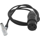 DigitalFoto Solution Limited 5-Pin LEMO to 3-Pin XLR Mono Audio Cable for ARRI ALEXA Mini (3.3')