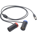 DigitalFoto Solution Limited TA5F Mini XLR Female to Dual Short 3-Pin XLR Male Conversion Cable (7.8")