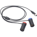DigitalFoto Solution Limited TA5F Mini XLR Female to Dual Short 3-Pin XLR Male Conversion Cable (7.8")