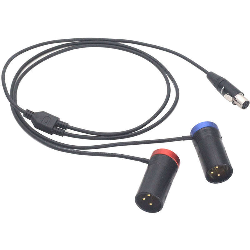 DigitalFoto Solution Limited TA5F Mini XLR Female to Dual Short 3-Pin XLR Male Conversion Cable (7.8")