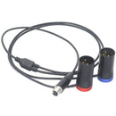 DigitalFoto Solution Limited TA5F Mini XLR Female to Dual Short 3-Pin XLR Male Conversion Cable (7.8")