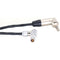 DigitalFoto Solution Limited 4-Pin LEMO to 3.5mm Timecode Synchronization Cable (11.8")