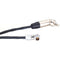 DigitalFoto Solution Limited 4-Pin LEMO to 3.5mm Timecode Synchronization Cable (11.8")