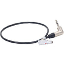 DigitalFoto Solution Limited 4-Pin LEMO to 3.5mm Timecode Synchronization Cable (11.8")