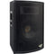 Pyle Pro PADH879 300W 8" Two-Way Speaker Cabinet