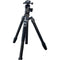 Fotopro Sherpa Carbon Fiber Travel Tripod with FPH-42QS Arca-Type Ball Head and Monopod (Black)