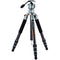 Fotopro TL-84C Global Elite Carbon Fiber Tripod with LG-9R Ball Head