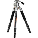 Fotopro TL-84C Global Elite Carbon Fiber Tripod with LG-9R Ball Head