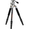 Fotopro TL-84C Global Elite Carbon Fiber Tripod with LG-9R Ball Head