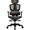 COUGAR Argo One Gaming Chair