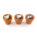 SparkFun Pimoroni PIM518 Grow - Grow Kit + Herb Pack