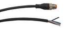LUMBERG AUTOMATION RST 5-228/2 M Circular Cable Assembly, M12 Plug, 5 Way, Free Ends, 6.56 ft, 2 m, Orange
