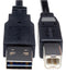 TRIPP-LITE UR022-001 USB Cable Assembly, USB Type A Plug, USB Type B Plug, USB 2.0, 1 ft, 300 mm