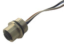 Phoenix Contact SACC-E-M12FS-4CON-PG9/05 SACC-E-M12FS-4CON-PG9/05 Sensor Cable M12 Receptacle Free End 4 Positions 500 mm 19.6 "