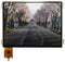 Multicomp PRO MP010838 TFT LCD 10.4 " 1024 x 768 Pixels XGA Landscape RGB 12V New