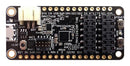 Maxim Integrated Products MAX32620FTHR