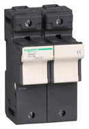 Schneider Electric DF222 DF222 Fuse Carrier Tesys DF Series 2P 125 A 690 VAC 22 mm X 58