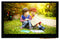 Multicomp PRO MP010828 TFT LCD 4.3 " 800 x 480 Pixels Wxga Landscape RGB 5V New