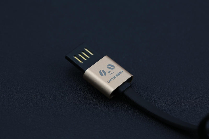 Dfrobot FIT0479 FIT0479 Micro USB Cable Double Sided for Lattepanda V1 Dev Board