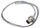 Phoenix Contact SACC-E-M12MS-4CON-PG9/05 SACC-E-M12MS-4CON-PG9/05 Sensor Cable M12 Plug Free End 4 Positions 500 mm 19.6 "