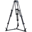 Acebil T1002G Tripod Legs (100mm Bowl)