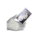 Archival Methods 61-555-L White Nylon Gloves (Large, 12 Pairs)