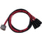 Avid Technologies DB25-XLRM DigiSnake - Analog or Digital Output Snake (12-Foot)