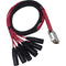 Avid Technologies DB25-XLRM DigiSnake - Analog or Digital Output Snake (4-Foot)