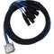 Avid Technologies DB25-XLRF DigiSnake - Analog or Digital Input Snake (4-Foot)