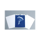 Cyanotype Store Cyanotype Paper (8 x 10", 12 Sheets, White)