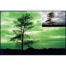 Cokin Z-Pro 004 Green Resin Filter