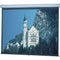 Da-Lite 79860 Model C Front Projection Screen (84x84")