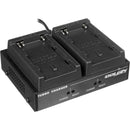 Dolgin Engineering TC200 Two-Position Simultaneous Battery Charger for Sony BP-U30, BP-U60, BP-U90