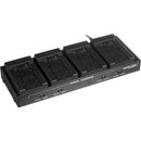 Dolgin Engineering TC40 Four-Position Simultaneous Battery Charger for Panasonic VW-VBG6 and CGA-E/625