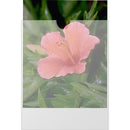 Dot Line S-00670/100 Plastines Envelopes (5x7", 100 Envelopes)