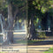 Formatt Hitech 4 x 4" Low Contrast 1/8 Filter