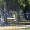 Formatt Hitech 86mm Low Contrast HD 1 Filter
