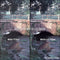 Formatt Hitech 95mm Supermist Clear 1/4 Filter