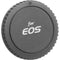 General Brand Body Cap for Canon EOS (Plastic)