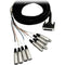 Hosa Technology AES/EBU Snake - DB25 Connector to 4x XLR3M and 4x XLR3F - 9.8' (3m)