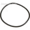 Ikelite O-Ring for DS-160 or DS-125 Strobe Battery Door