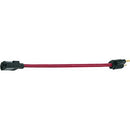 Middle Atlantic IEC-18X20-RED IEC Power Cords (20 Count) Red