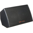 Nady PM-100 5" Nearfield Personal Stage Monitor Speaker