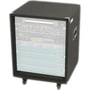 Odyssey Innovative Designs CRE12W Carpeted Econo Rack Case (Black)
