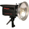 Photogenic PLR625DRC 250W/s PowerLight Monolight with PocketWizard Receiver (UV)